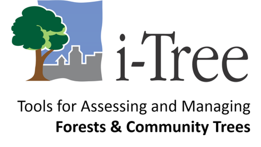 14/25 🌿 Data-Driven Green: i-Tree Transforms Trees into Strategic City Assets