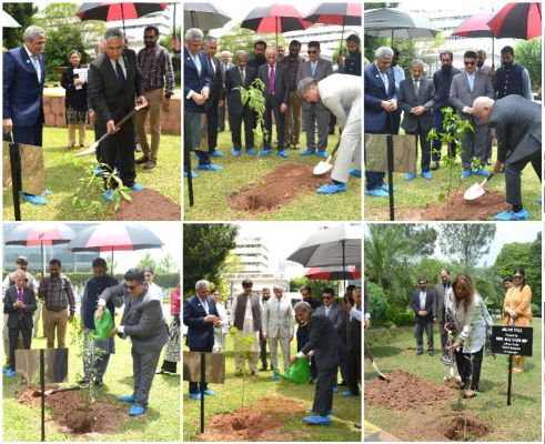 49/25 Diplomats Root For A Greener Future At Comsats Plantation Drive